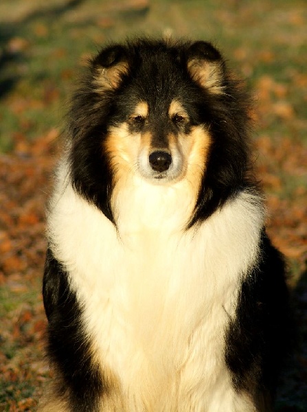 monsolana Sisi keith